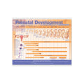 Lamineret plakat om fosterets udvikling med tekst på engelsk - eAnatomi