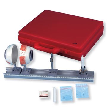 Demonstration av ögats refraktion och brytningsfel