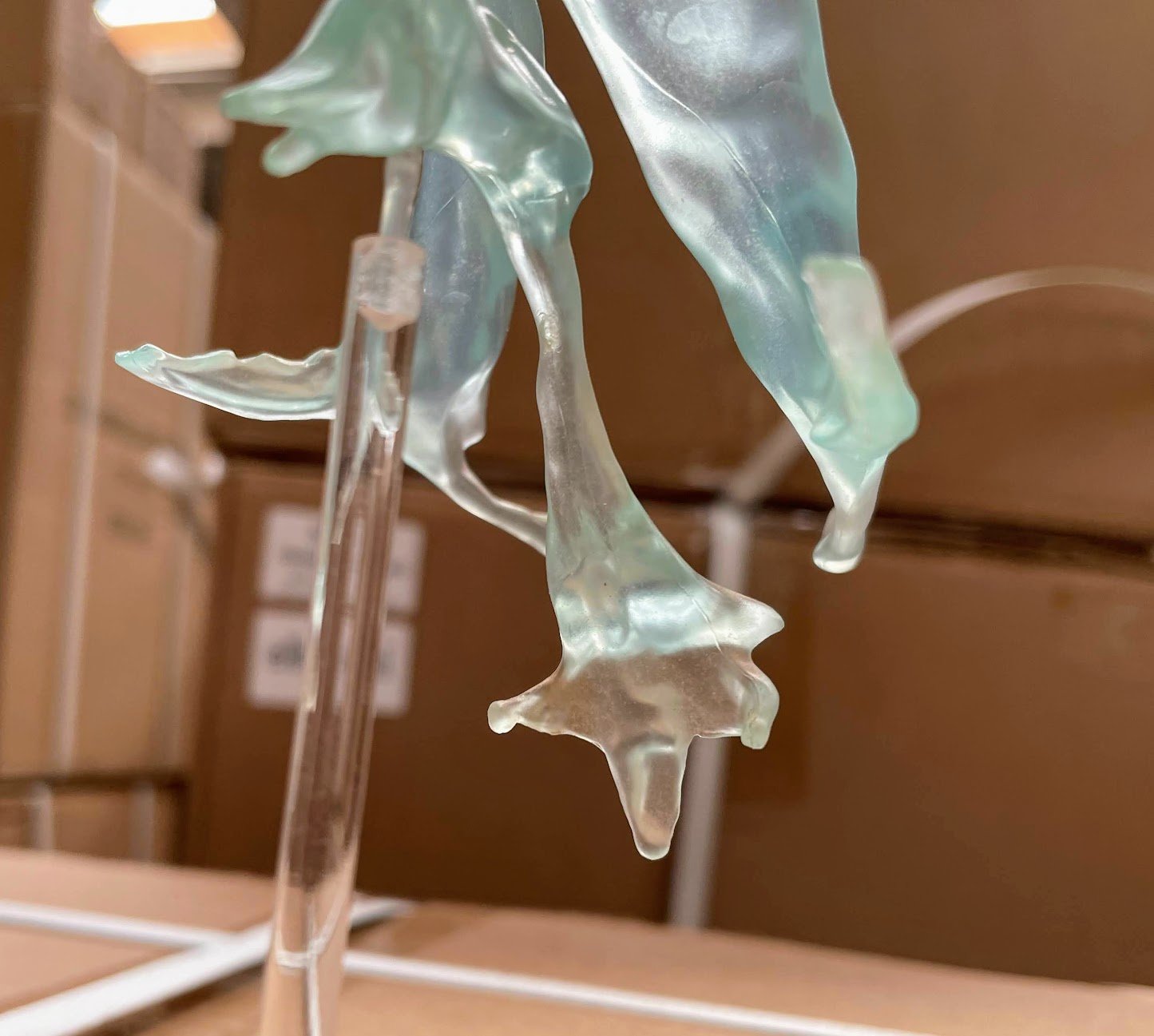 Model af hjernens ventrikler på stander af plexiglas - eAnatomi
