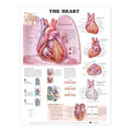 Lamineret plakat om hjertet på engelsk
