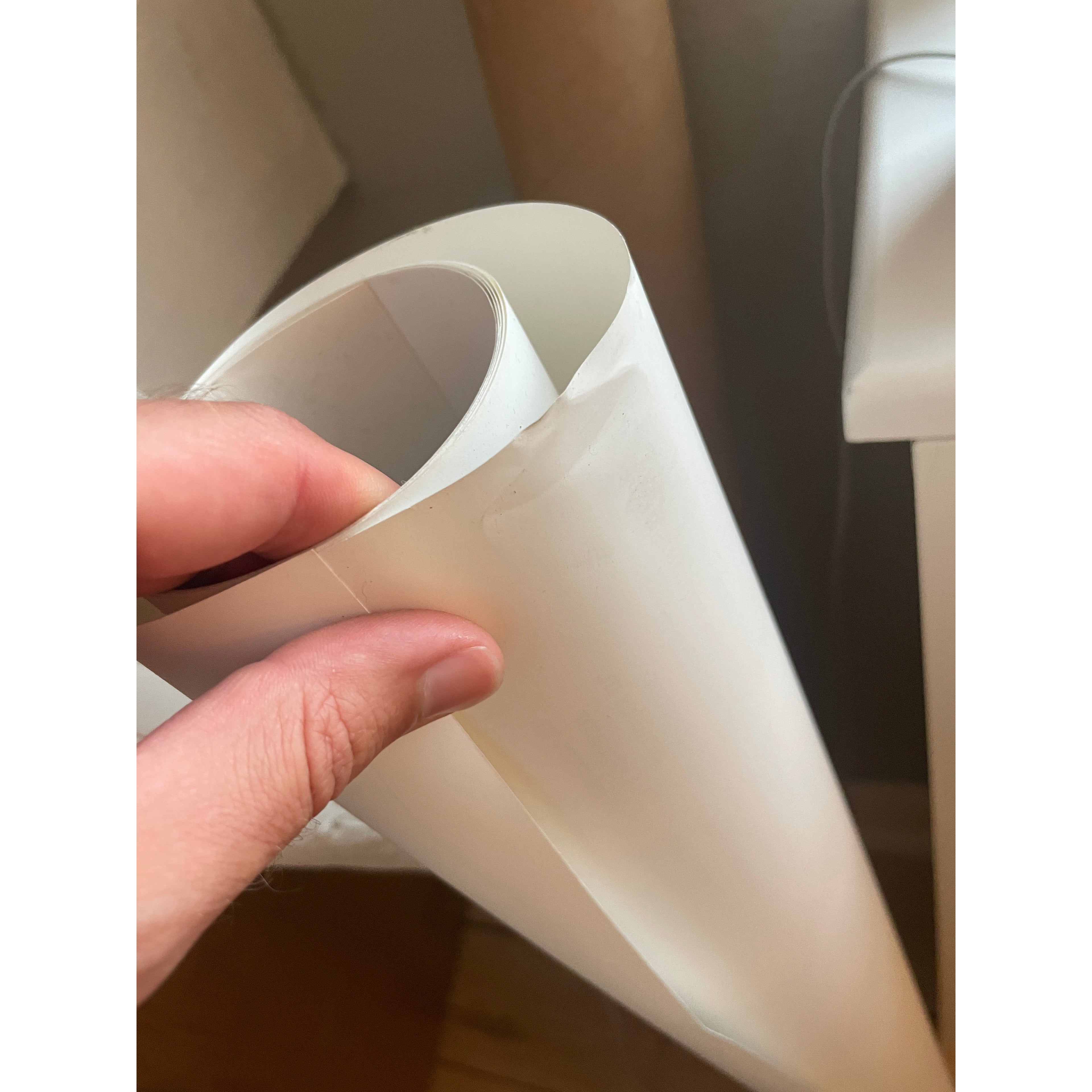 Giant muscle poster in English 2nd grade 