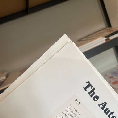 Plakat om det autonome nervesystem på engelsk 2. sortering - eAnatomi