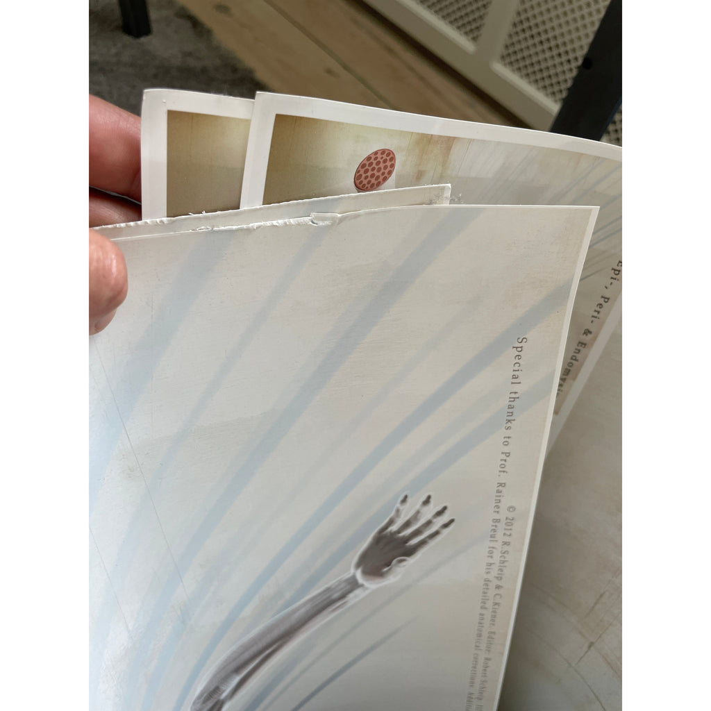 Affisch om fascia (bindväv) på engelska 2:a klass