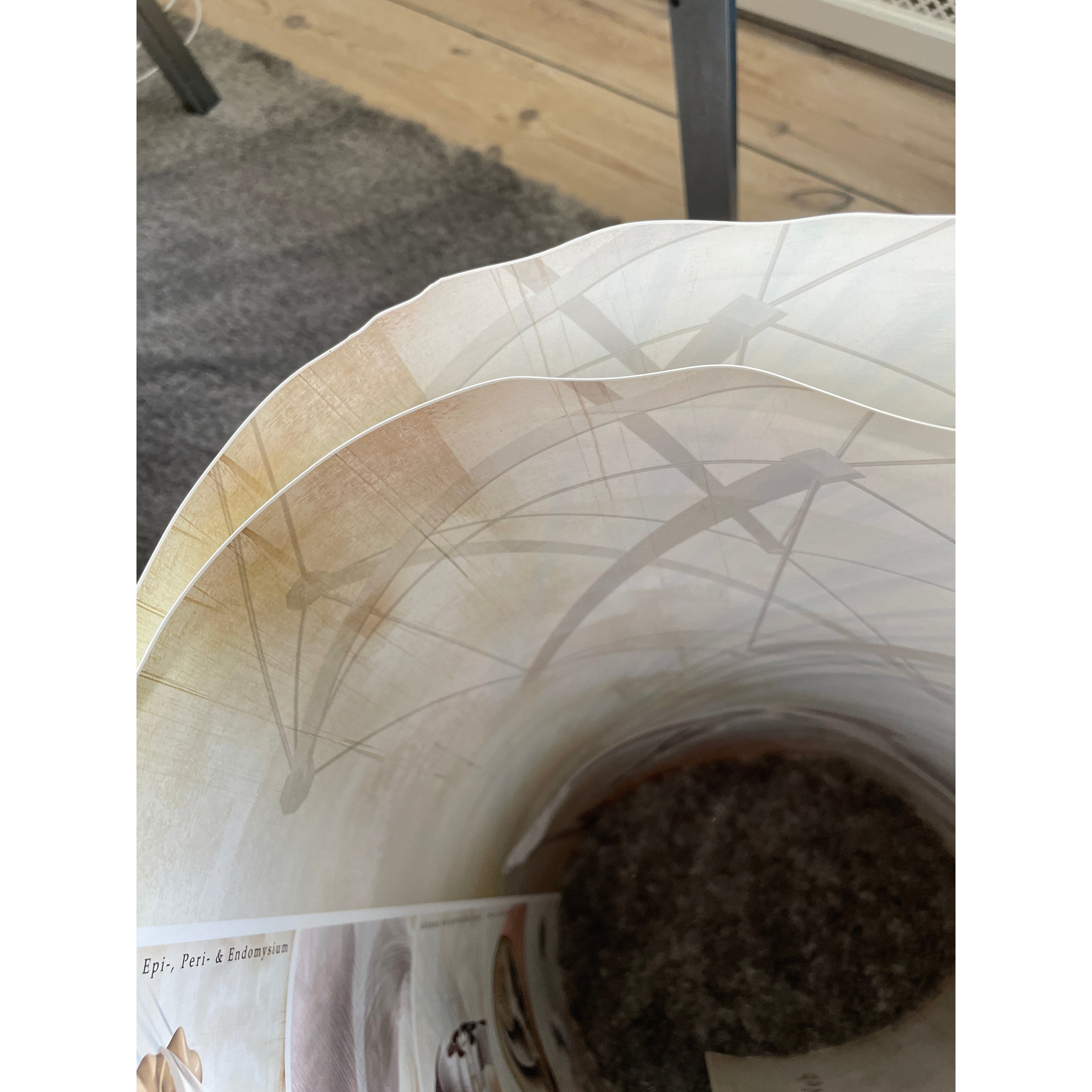 Plakat om fascier (bindevæv) på engelsk 2. sortering