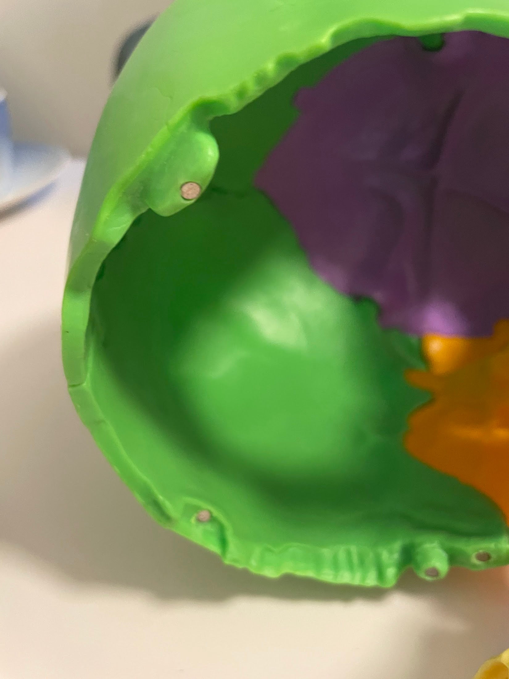 Kraniemodel i 22 dele med farvede knogler