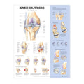 Plakat om knæskader på engelsk - eAnatomi