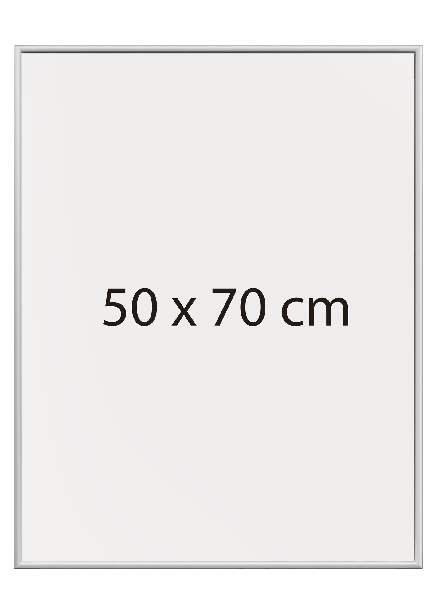 Plakatramme, mat sølv aluminium 50x70 cm - Afhentningstilbud! - eAnatomi