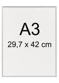 Plakatramme med kanter i mat sølv aluminium A3 - eAnatomi