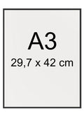 Plakatramme med kanter i mat sort aluminium A3 - eAnatomi