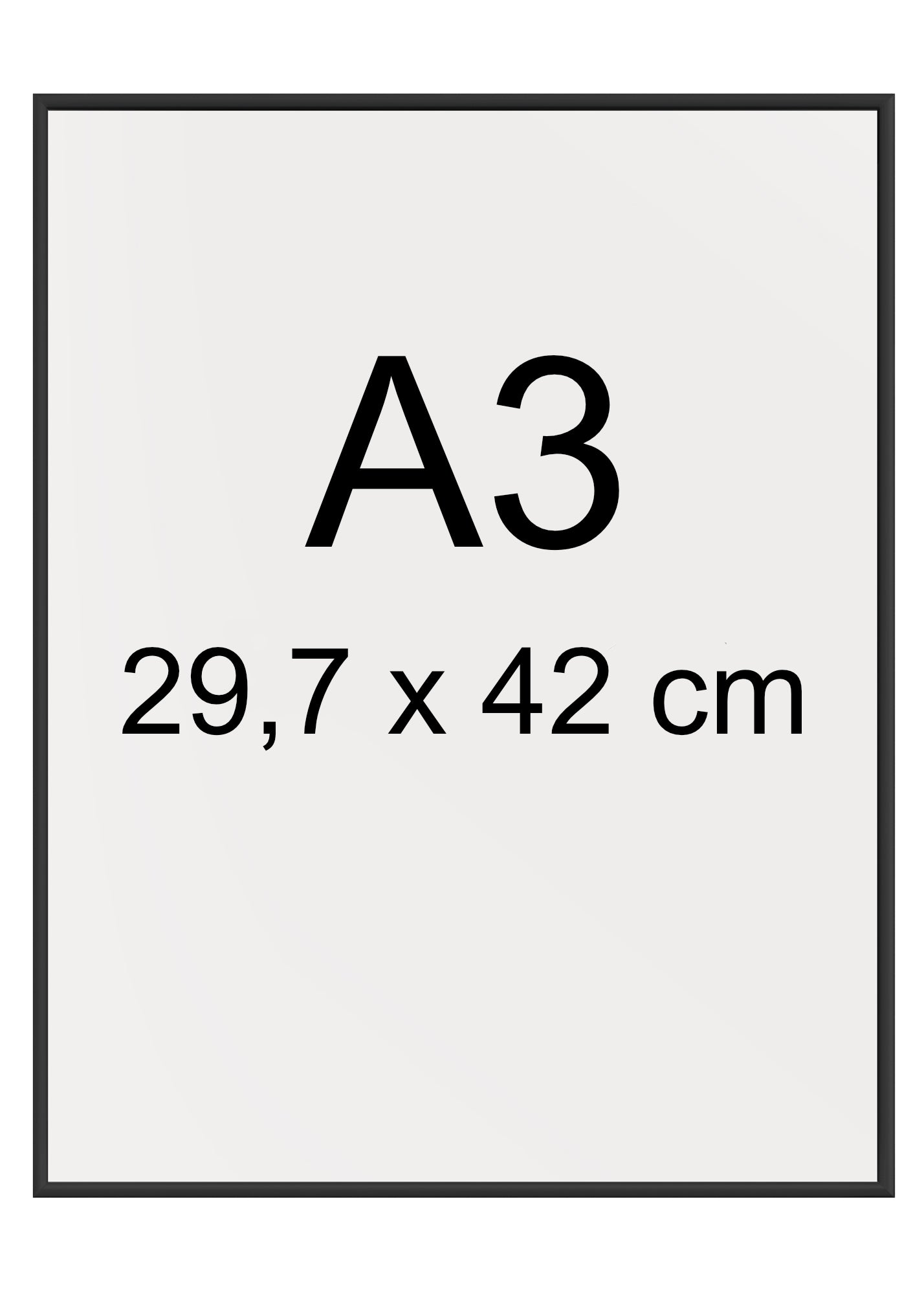 Plakatramme med kanter i mat sort aluminium A3 - eAnatomi