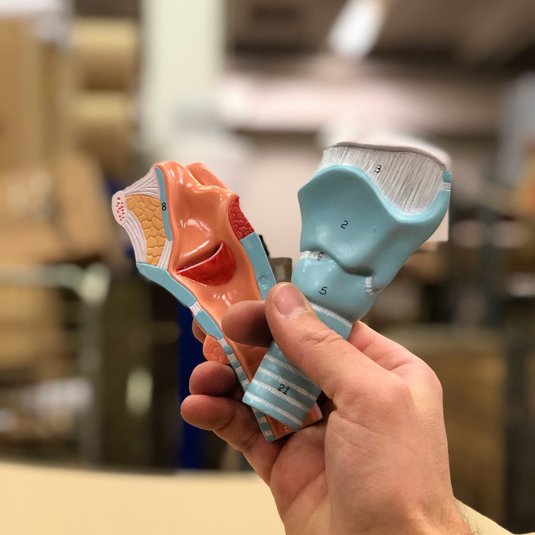 Strube m. stemmelæber, 5 dele