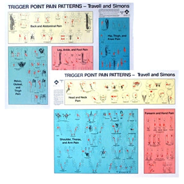Sæt af 2 plakater om "triggerpoint pain patterns" på engelsk 2. sortering