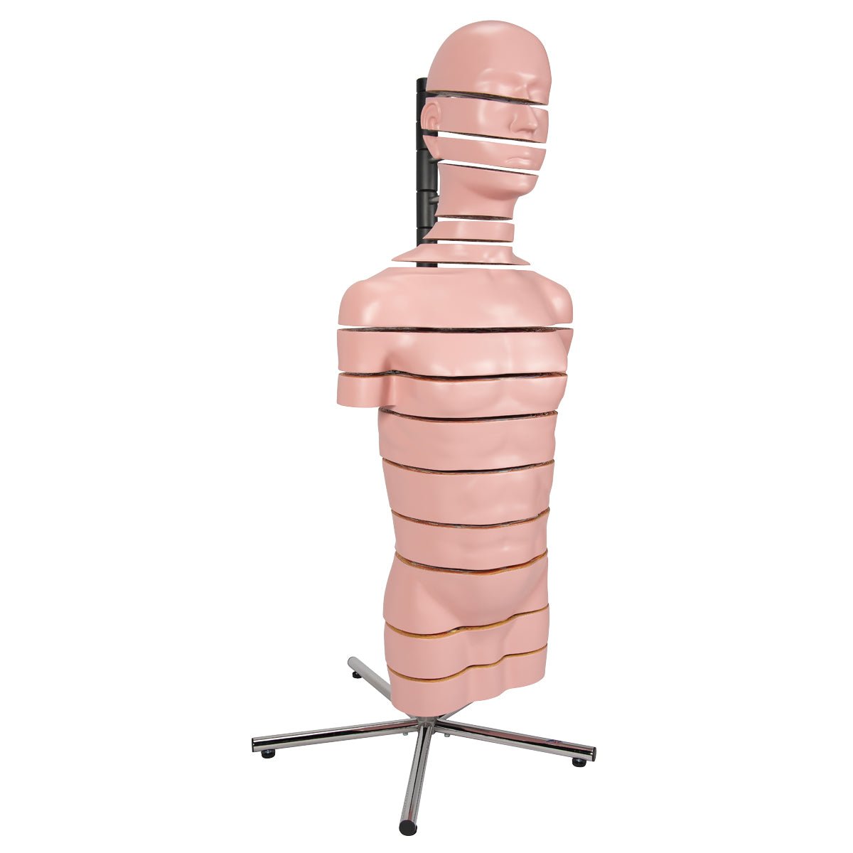 MRI torso, 15 snitflader, 130 cm - eAnatomi