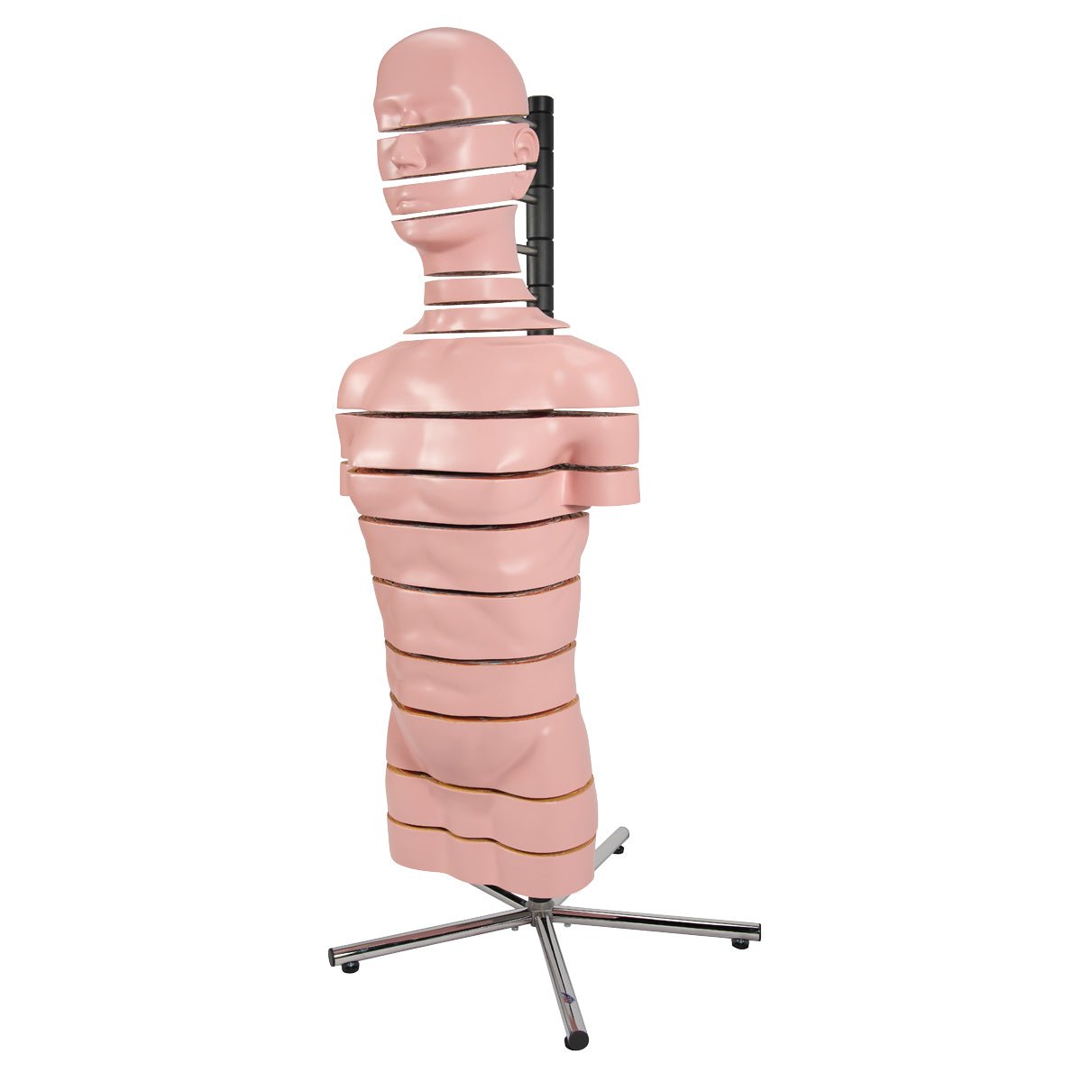 MRI torso, 15 snitflader, 130 cm - eAnatomi