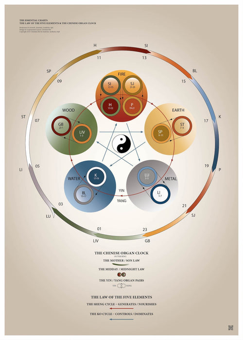 Plakat om 5 - element teorien af Christian Slot - eAnatomi